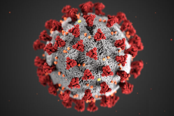 Magnified coronavirus